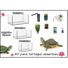 Kit completo de Tortugas acuaticas